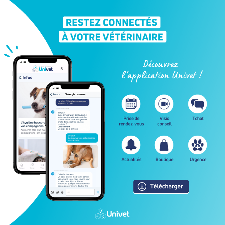 Chirurgien vétérinaire Le Plessis-Luzarches