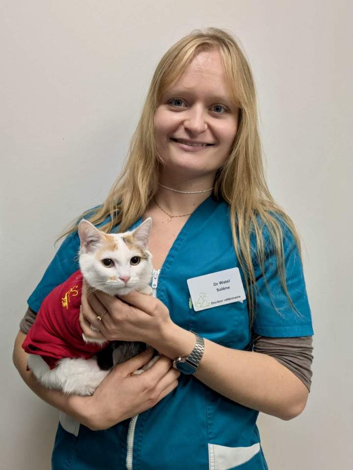 27d84574 5902 4859 92c9 044df0d40dfa