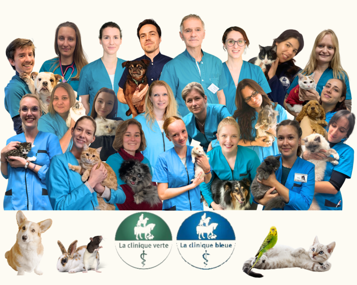 Design sans titre (22)