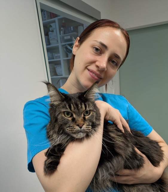 Soins vétérinaires Le Plessis-Luzarches