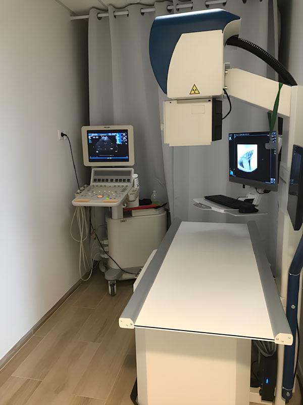 Soins vétérinaire NAC Le Plessis-Luzarches