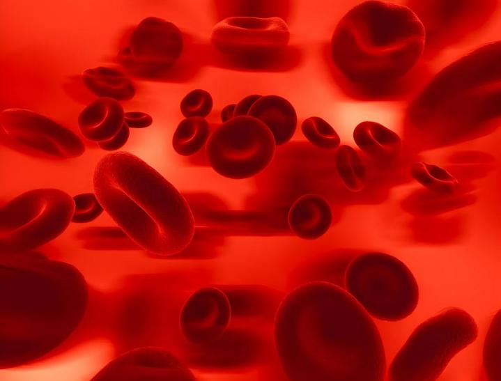 Divers soins vétérinaires Le Plessis-Luzarches