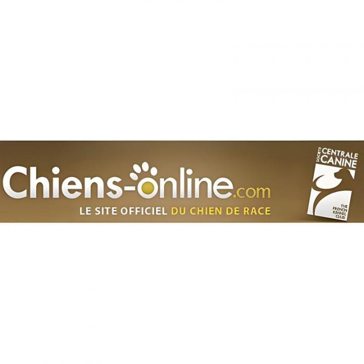 Logo chiens online