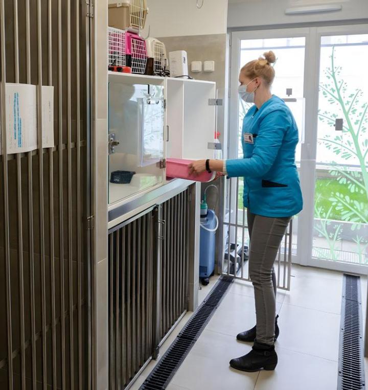 Chirurgien vétérinaire Le Plessis-Luzarches