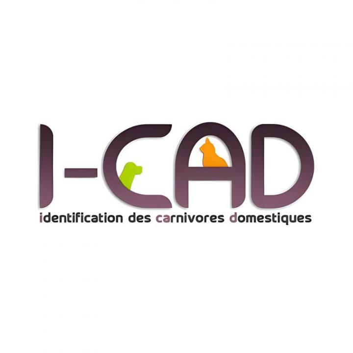 logo I-CAD