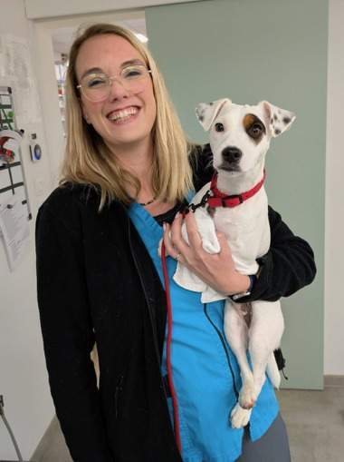 Chirurgien vétérinaire Le Plessis-Luzarches