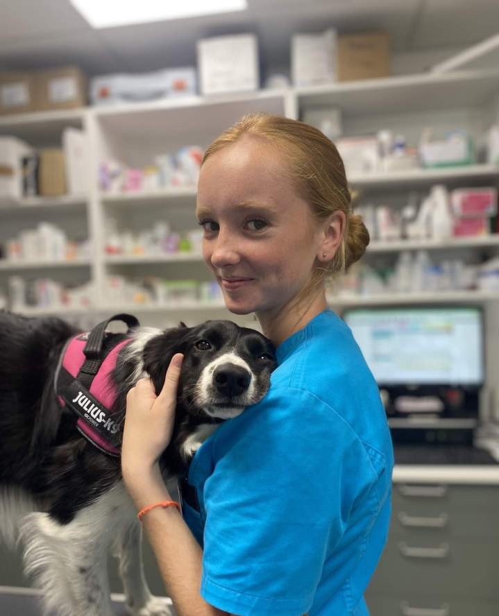 Échographie vétérinaire Le Plessis-Luzarches